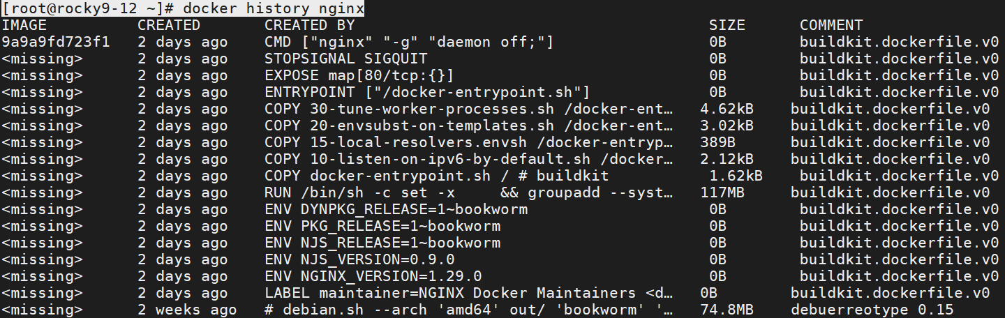 Nginx 构建历史