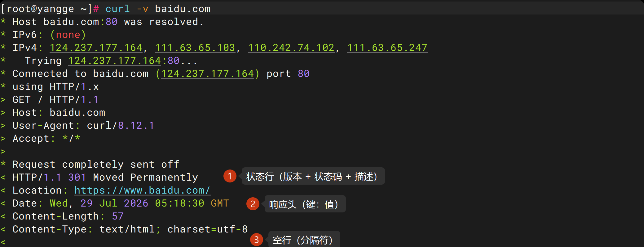 curl -v 响应报文中的状态行、响应头和空行