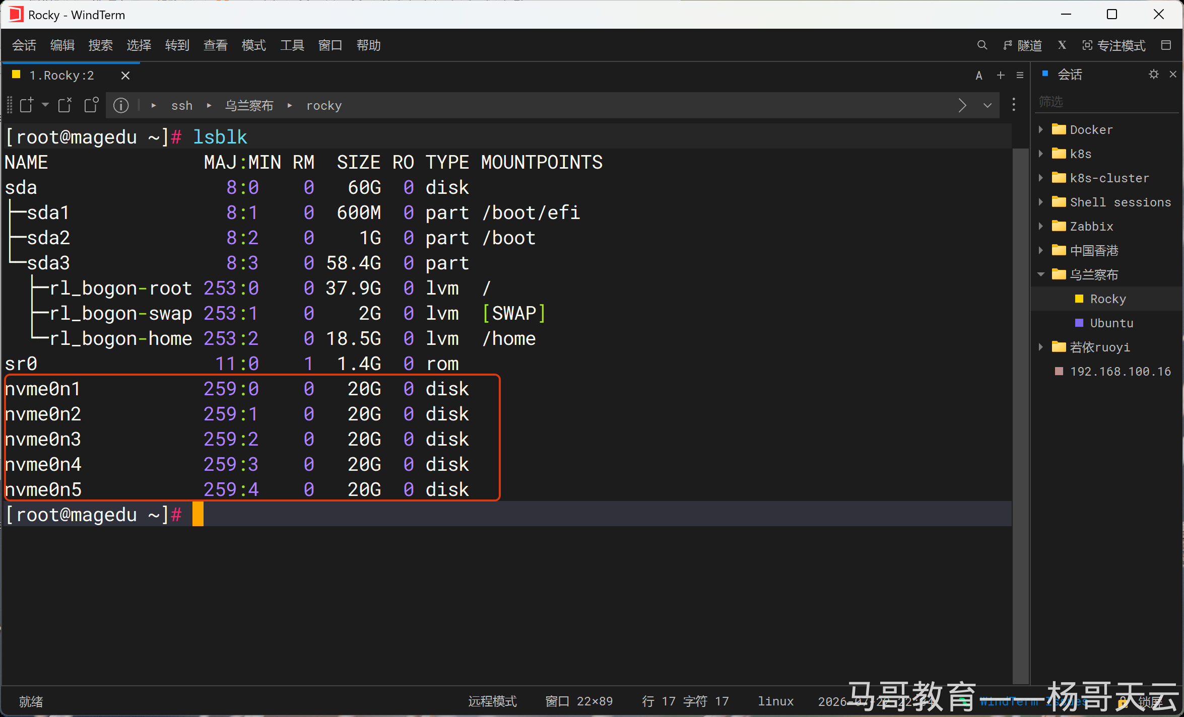 lsblk 显示新增 NVMe 设备