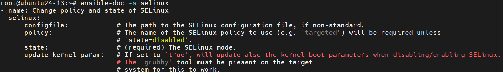 SELinux 模块参数