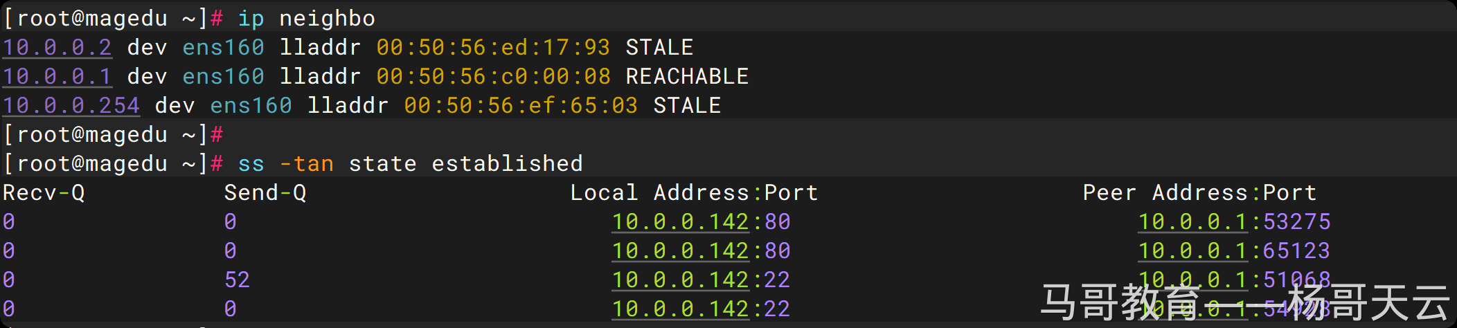 ip neigh 和 ss 查看邻居及已建立连接