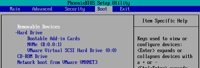 调整虚拟机 BIOS 启动顺序