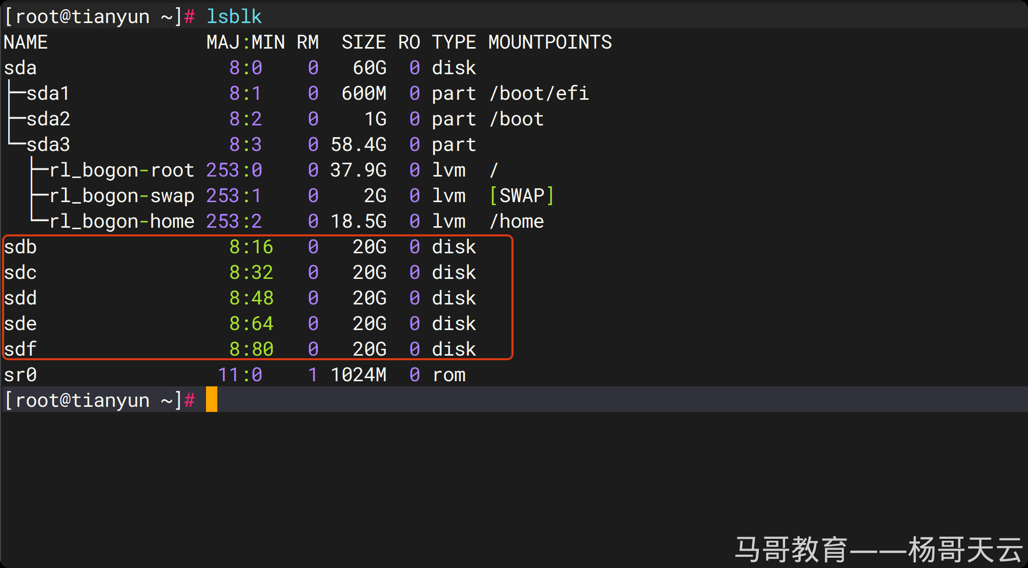 lsblk 中查看 sdb、sdc、sdd、sde、sdf 等新磁盘