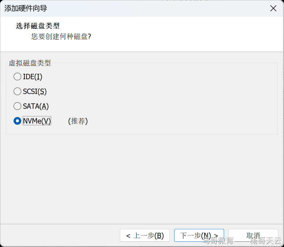 选择 NVMe 磁盘类型