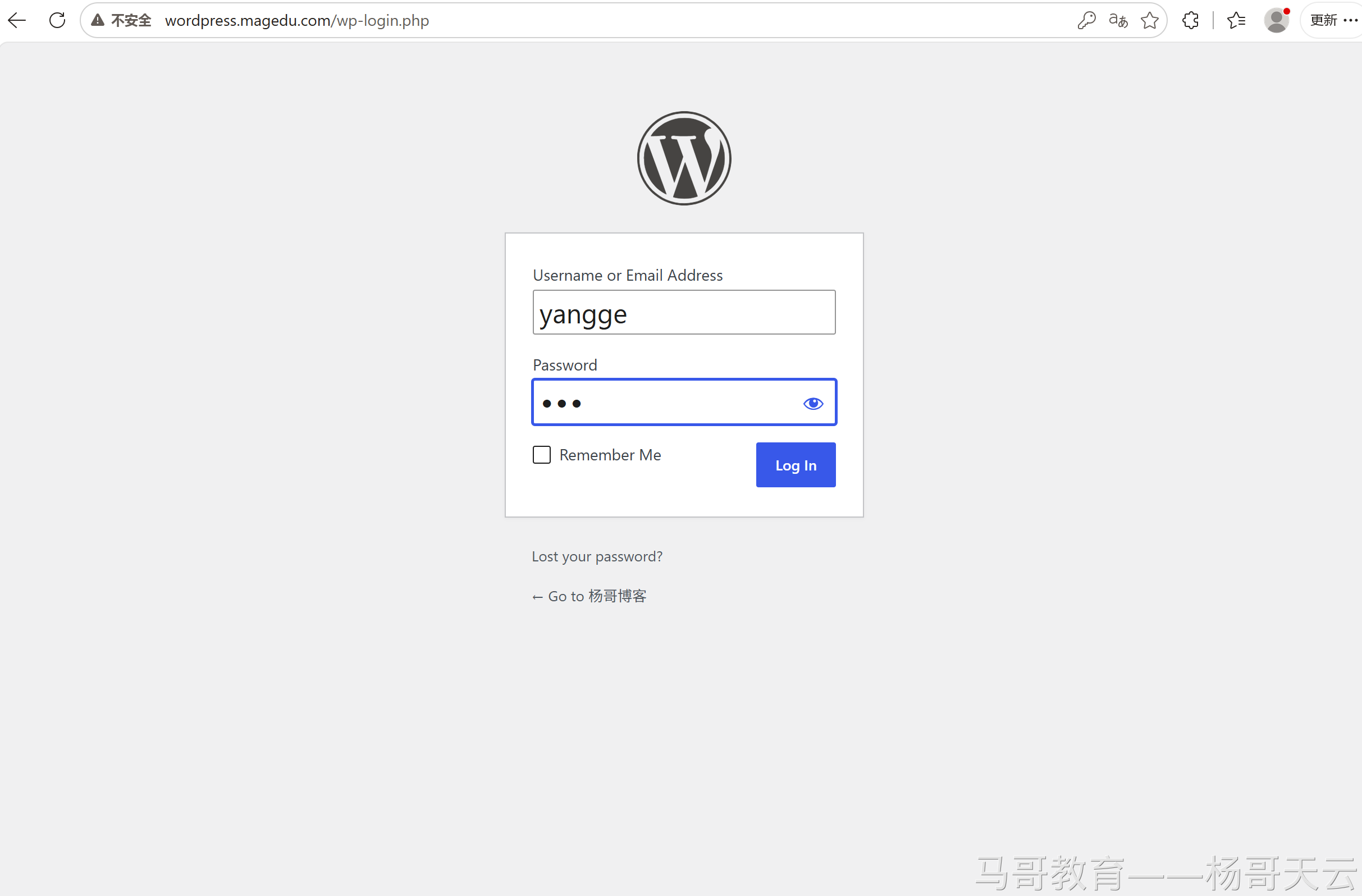 WordPress 登录页面