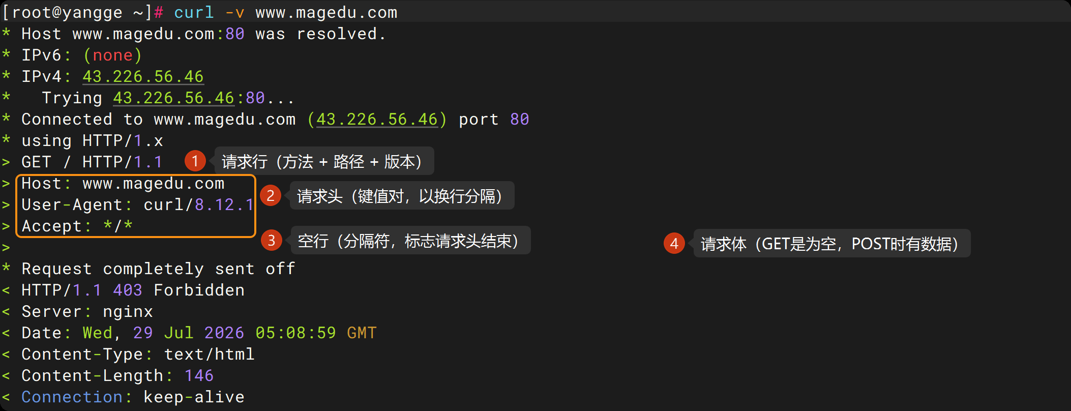 curl -v 请求报文:请求行、请求头、空行、请求体